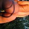 Angah - escort in Johannesburg