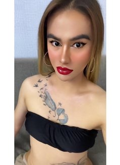 Angel Concepcion - Acompañantes transexual in Dubai Photo 2 of 10