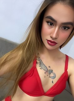 Angel Concepcion - Acompañantes transexual in Dubai Photo 4 of 10