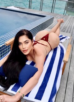 Angel Eduarda Brazilian 🇧🇷 - escort in Dubai Photo 11 of 17
