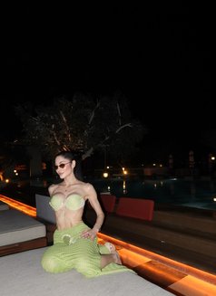 Angel Eduarda Brazilian 🇧🇷 - escort in Dubai Photo 18 of 18