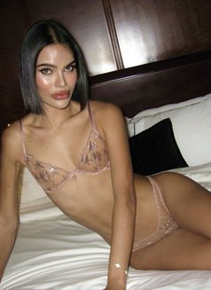 Angel Energy Available - Transsexual escort in Singapore Photo 1 of 30