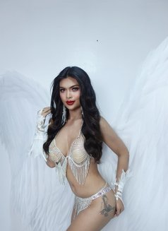 Angel - Transsexual escort in Singapore Photo 4 of 6