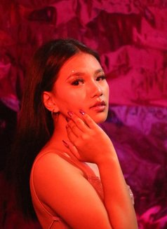 Angel - escort in Seoul Photo 5 of 11