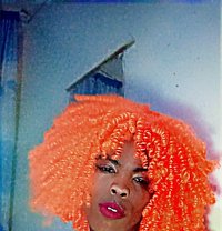 Angel - Transsexual escort in Nairobi