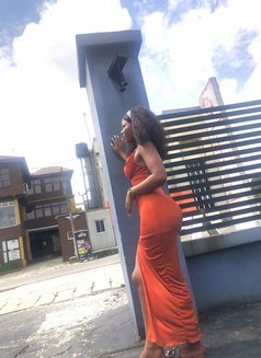 Angel - escort in Colombo Photo 1 of 1