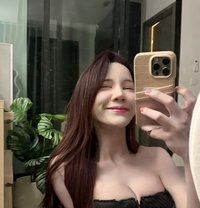 Angel - Transsexual escort in Bangkok