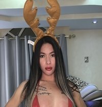 Angel Top - Acompañantes transexual in Ras al-Khaimah