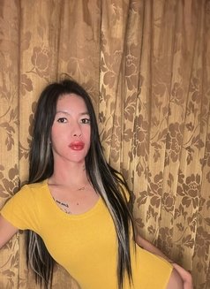 Angel Top - Transsexual escort in Ras al-Khaimah Photo 9 of 12