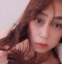 Ts-Angel - Acompañantes transexual in Manila