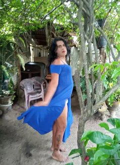 Angela’ Ashi Ladyboy - Transsexual escort in Colombo Photo 2 of 10