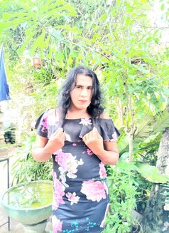 Angela’ Ashi Ladyboy - Transsexual escort in Colombo Photo 3 of 10