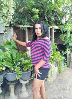 Angela’ Ashi Ladyboy - Transsexual escort in Colombo Photo 7 of 10