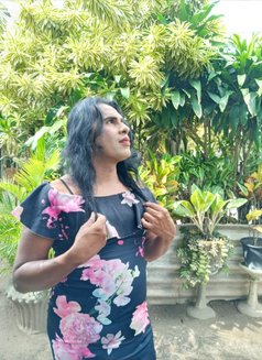 Angela’ Ashi Ladyboy - Transsexual escort in Colombo Photo 8 of 10