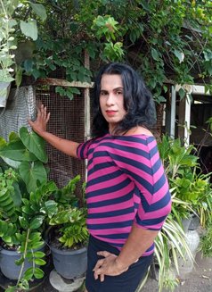 Angela’ Ashi Ladyboy - Transsexual escort in Colombo Photo 9 of 10