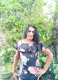 Angela’ Ashi Ladyboy - Transsexual escort in Colombo Photo 10 of 10