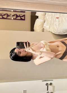 Angela just arrived 🇲🇾 - escort in Kuala Lumpur Photo 3 of 8