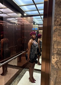 Angela - escort in Dubai Photo 1 of 5