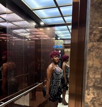 Angela - escort in Dubai