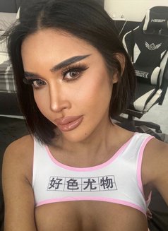 Angela - Acompañantes transexual in Bangkok Photo 8 of 15