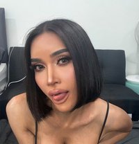 Angela - Transsexual escort in Guangzhou