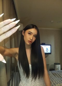 Angela - Acompañantes transexual in Taipei Photo 3 of 17