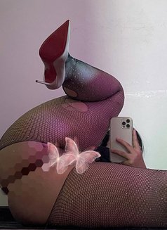 ANGELABABE CHUBBY - escort in Muscat Photo 13 of 14