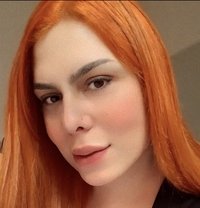 Angelica Doll - Transsexual escort in Berlin