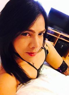 Angelica - Transsexual escort in Kuala Lumpur Photo 2 of 2