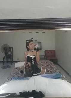 Angelica Ts 19yrs Old - Transsexual escort in Makati City Photo 13 of 13