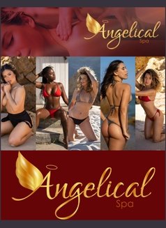 Angelical Spa - escort agency in Lisbon Photo 1 of 1