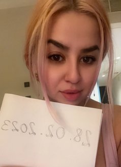 Angy from Spain last hours!1500/1h cash - escort in Doha Photo 26 of 29