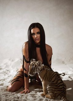 Angelina - puta in Al Manama Photo 6 of 15