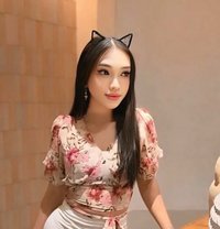 🇹🇭Ts Cici V🇮🇩 - Transsexual escort in Bali