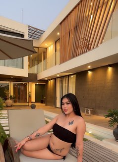 Anggilopez hard dick - Acompañantes transexual in Bali Photo 9 of 29