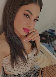 Angi - Transsexual escort in Beirut Photo 15 of 16