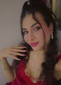 Angi - Transsexual escort in Beirut Photo 15 of 15