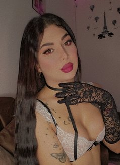Angi - Acompañantes transexual in Beirut Photo 7 of 8