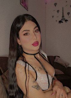 Angi - Acompañantes transexual in Beirut Photo 8 of 8