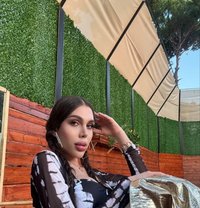 Angie Azzam - Acompañantes transexual in Beirut