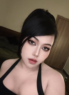 Angie Lady Boy - Transsexual escort in Muscat Photo 8 of 19