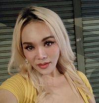 Angie Sweet - Transsexual escort in Bangkok