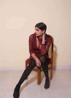 Angle - Transsexual escort in Amritsar Photo 10 of 15
