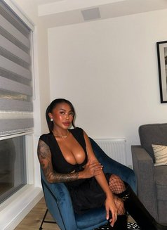 Angle222 - escort in Phuket Photo 6 of 8