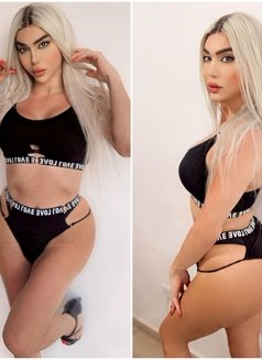 Ango 20cm visiting لبنانيه - Transsexual escort in İstanbul Photo 26 of 28