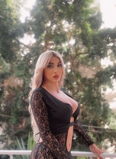 Ango 21cm - Transsexual escort in Beirut Photo 2 of 30