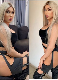 Ango 21cm - Acompañantes transexual in Beirut Photo 30 of 30