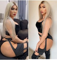Ango 21cm - Transsexual escort in Beirut