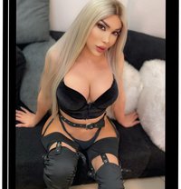 Ango 21cm - Transsexual escort in Beirut
