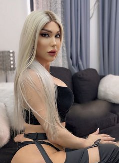 Ango 21cm visiting لبنانيه - Acompañantes transexual in Paris Photo 30 of 30